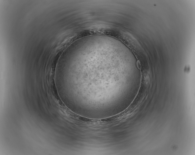 X0000092301060200709141315