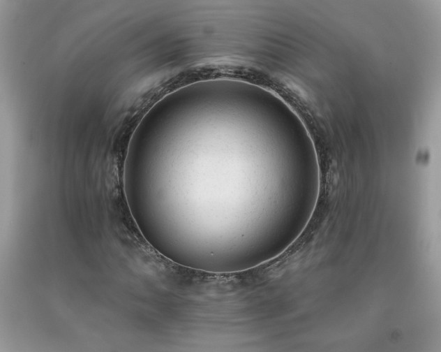 X0000092301062200709141315