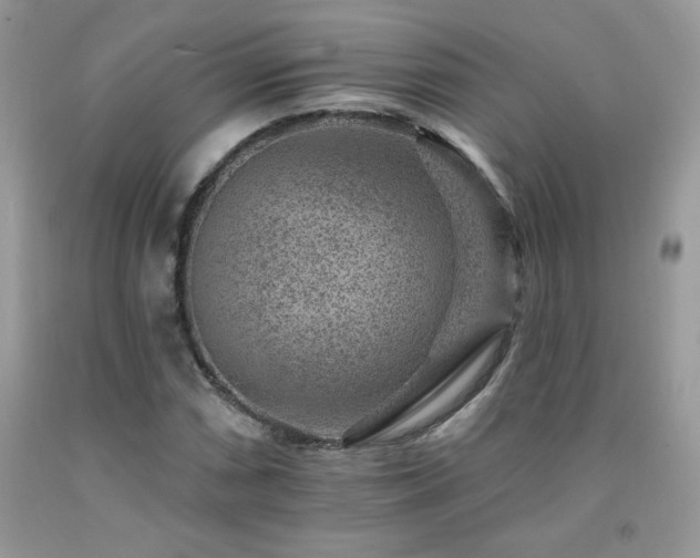 X0000092301066200709141315