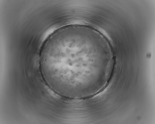 X0000092301067200709141315