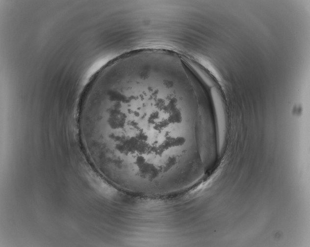 X0000092301071200709141315