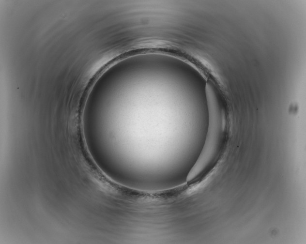 X0000092301073200709141315