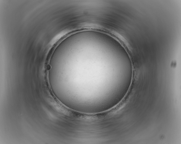 X0000092301074200709141315