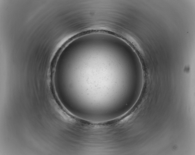 X0000092301076200709141315