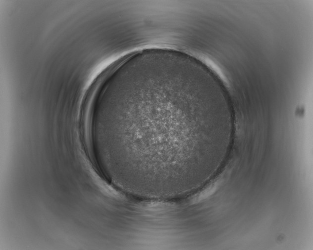 X0000092301077200709141315
