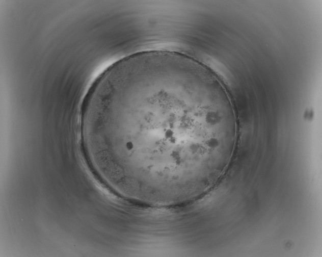 X0000092301079200709141315