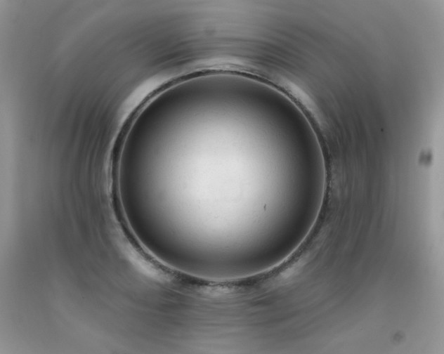 X0000092301082200709141315