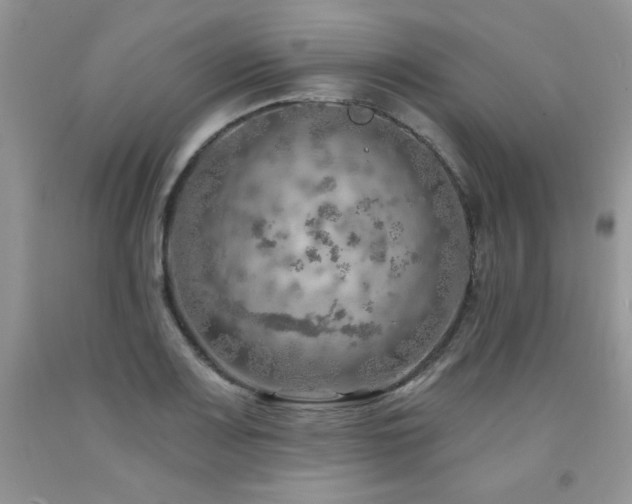 X0000092301083200709141315