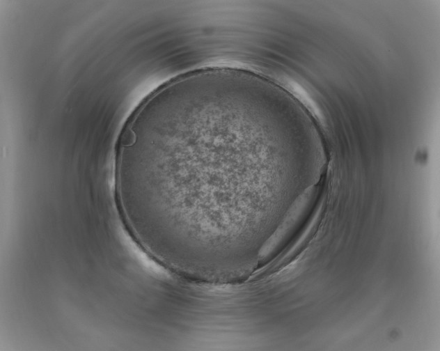 X0000092301084200709141315