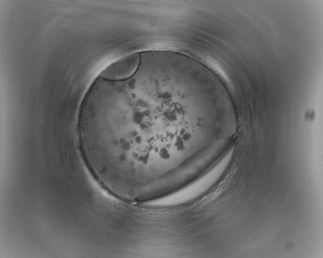 X0000092301087200709141315