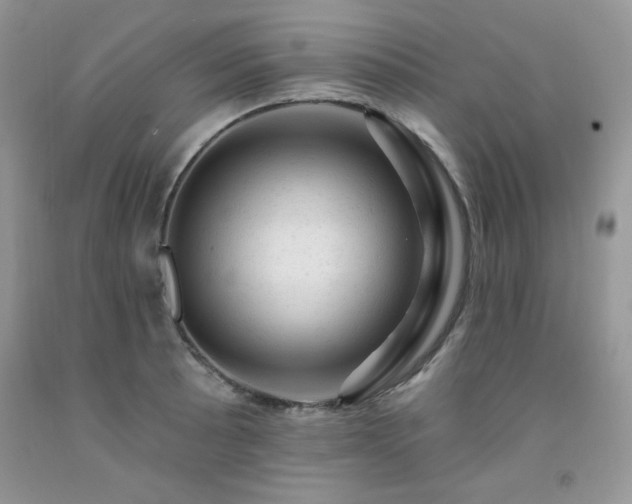 X0000092301089200709141315