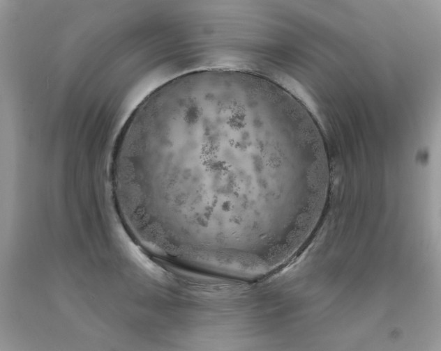X0000092301091200709141315