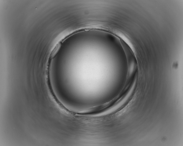 X0000092301093200709141315