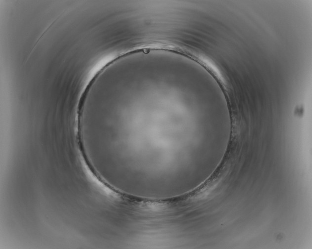 X0000092301095200709141315