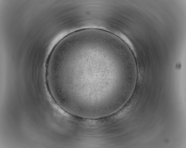 X0000092301096200709141315