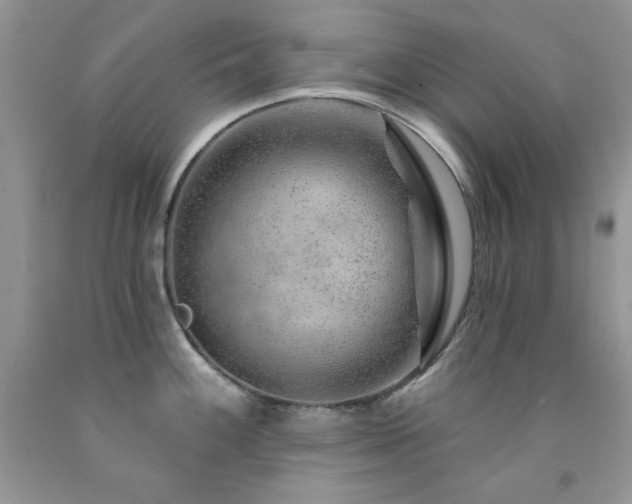 X0000092301100200709141315