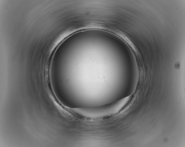 X0000092301101200709141315