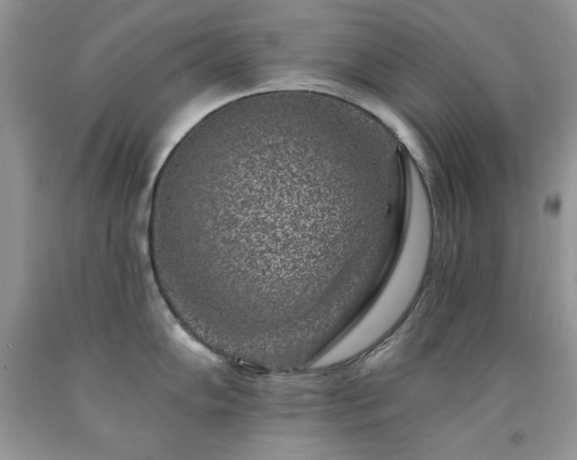 X0000092301102200709141315
