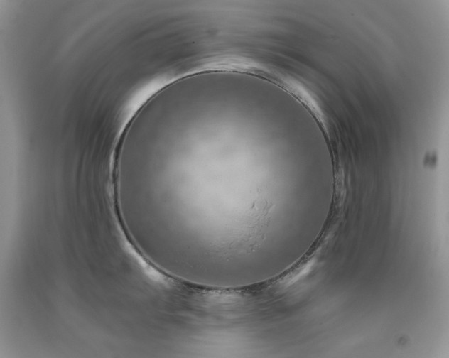 X0000092301103200709141315