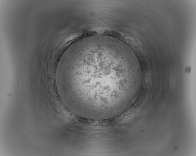 X0000092301105200709141314