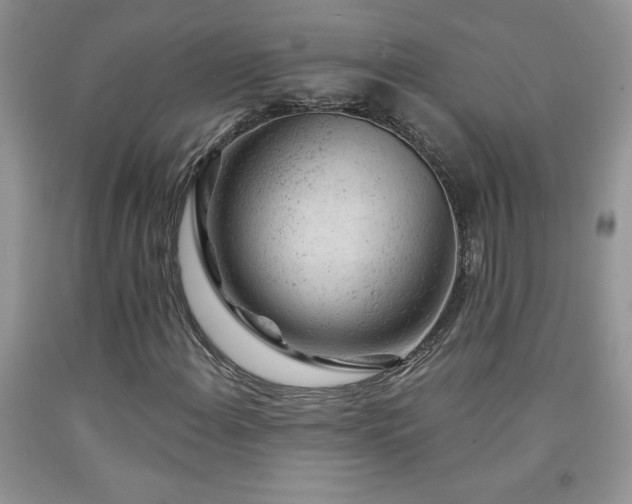 X0000092301108200709141314