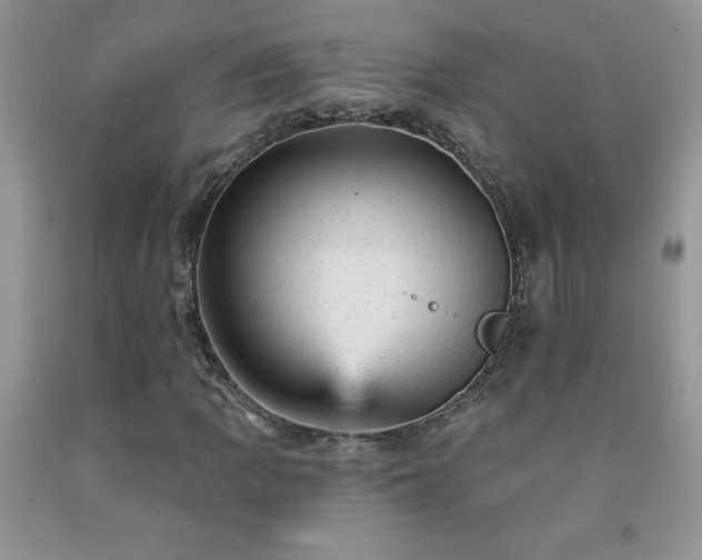 X0000092301109200709141314