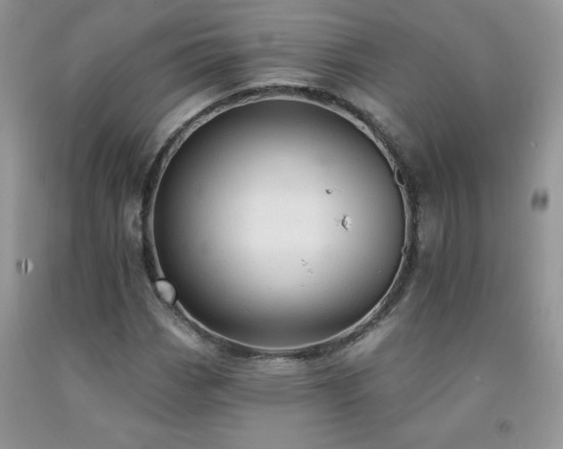 X0000092301113200709141314