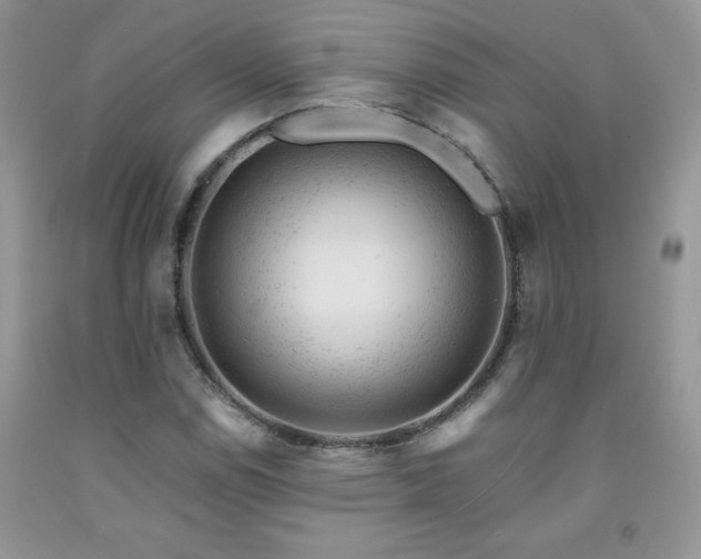 X0000092301114200709141314