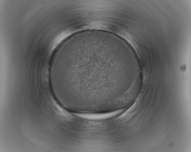 X0000092301115200709141314