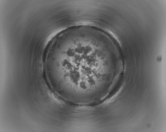 X0000092301117200709141314