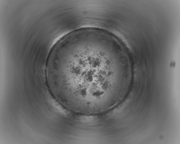 X0000092301121200709141314