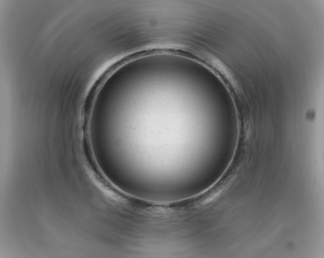 X0000092301124200709141314
