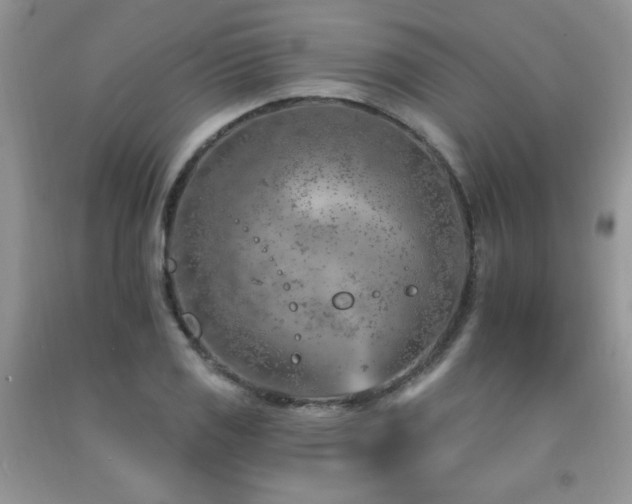 X0000092301125200709141314