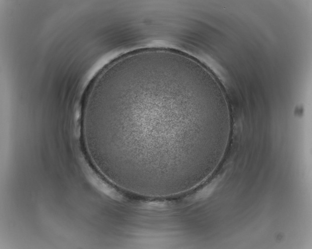 X0000092301126200709141314