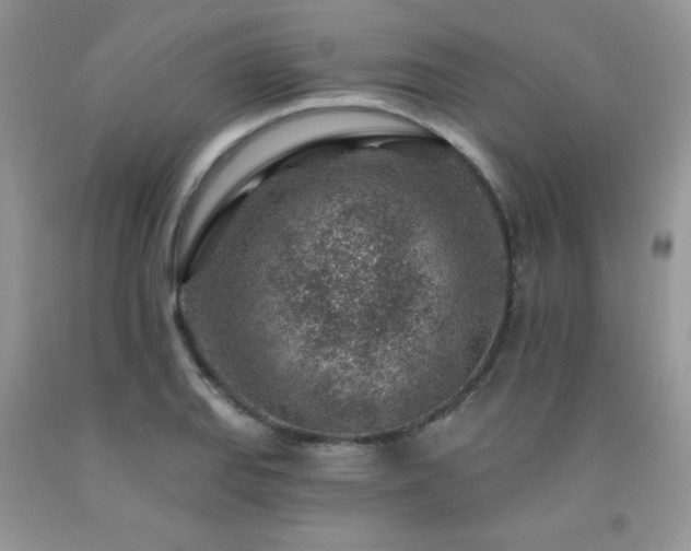X0000092301127200709141314