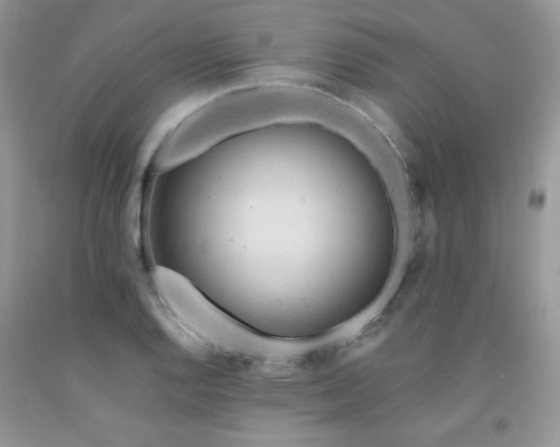 X0000092301128200709141314