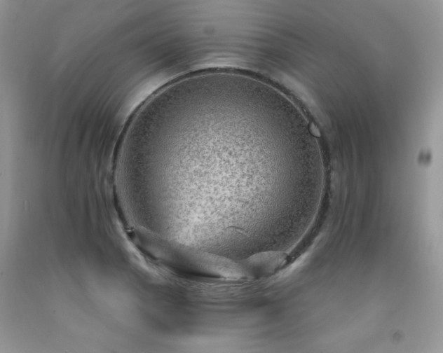 X0000092301129200709141314