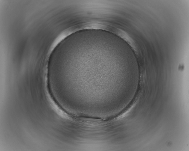 X0000092301130200709141314