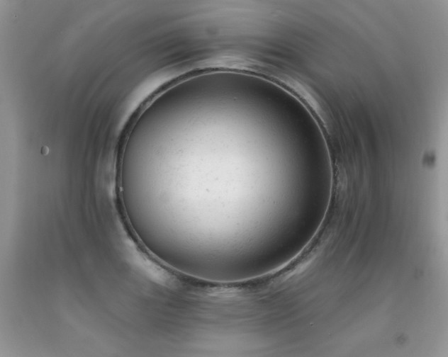 X0000092301131200709141314