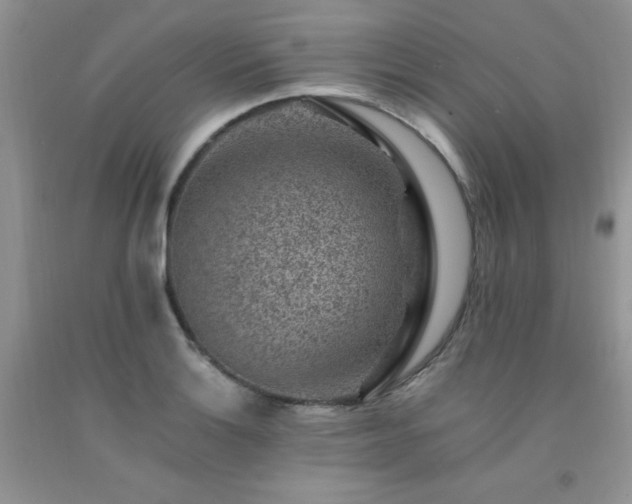 X0000092301132200709141314