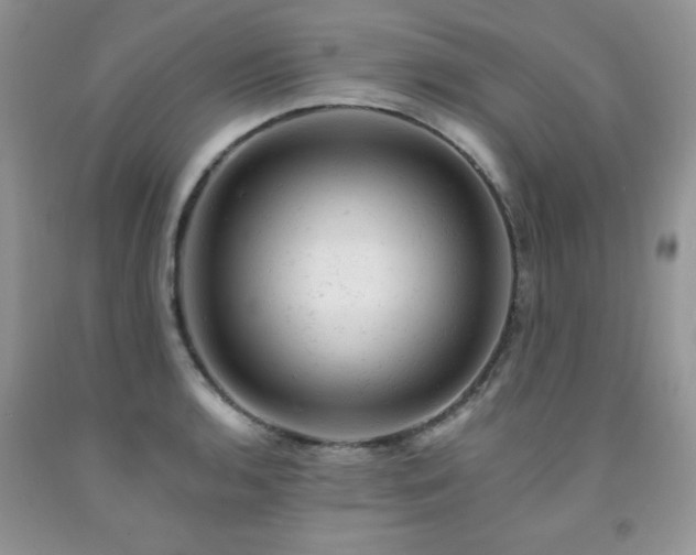 X0000092301136200709141314