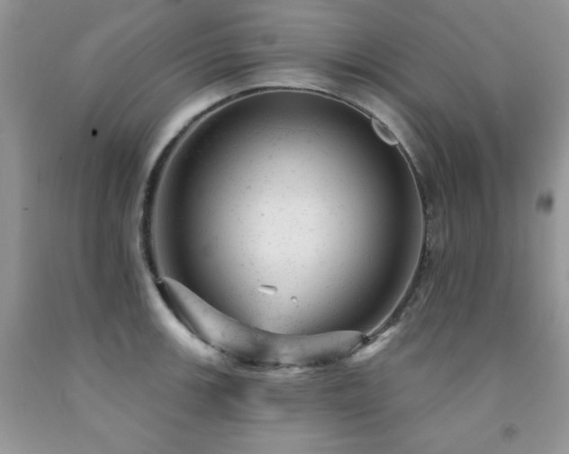 X0000092301139200709141314