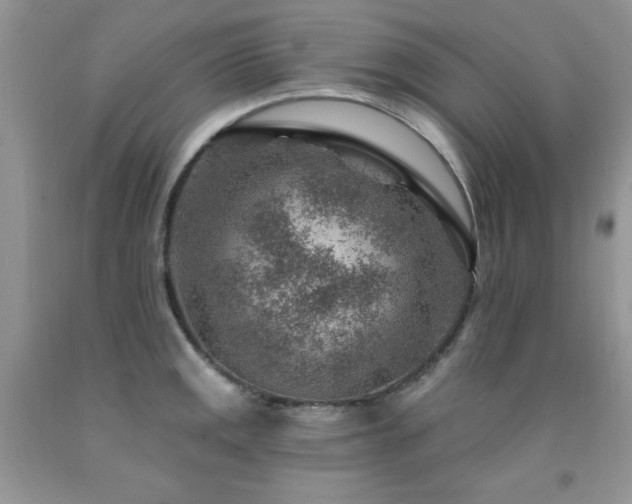 X0000092301141200709141314