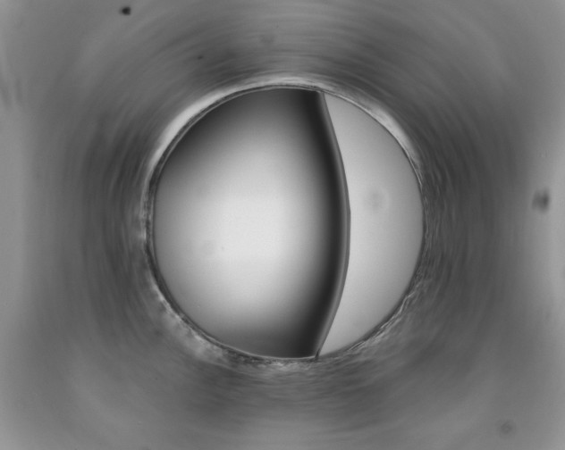 X0000092301148200709141314