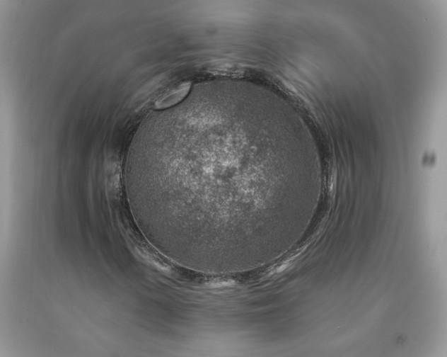 X0000092301154200709141314
