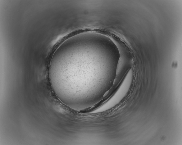 X0000092301160200709141314
