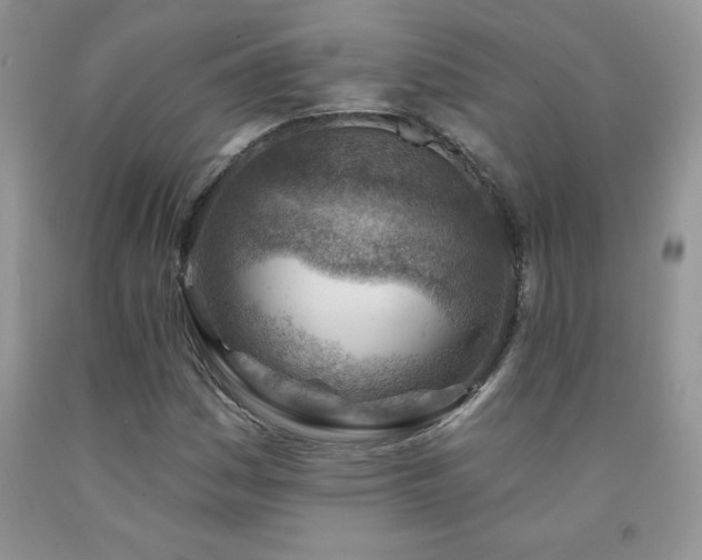 X0000092301161200709141314