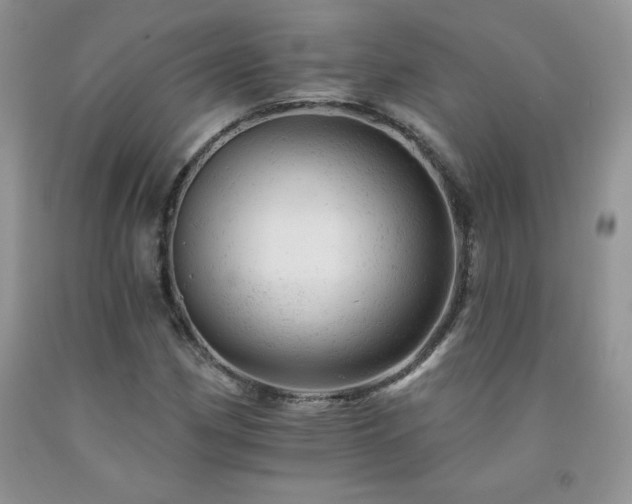 X0000092301162200709141314