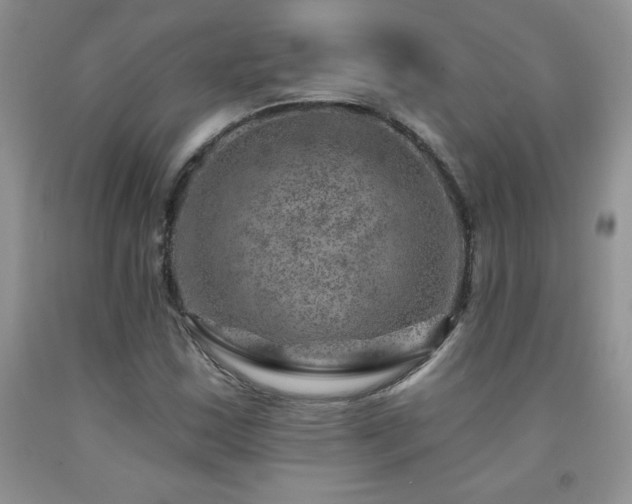 X0000092301163200709141314
