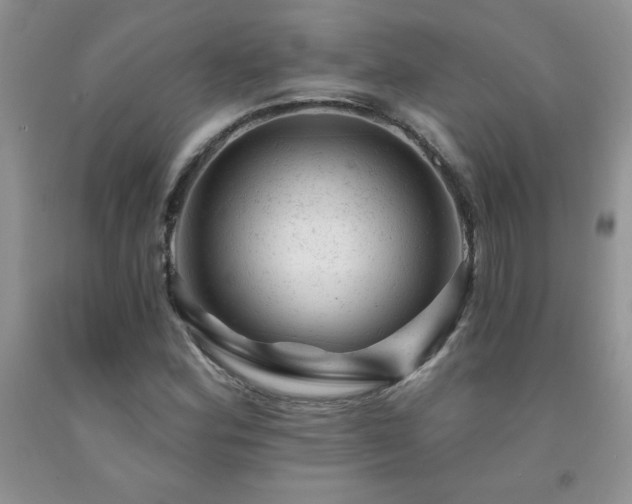 X0000092301164200709141314
